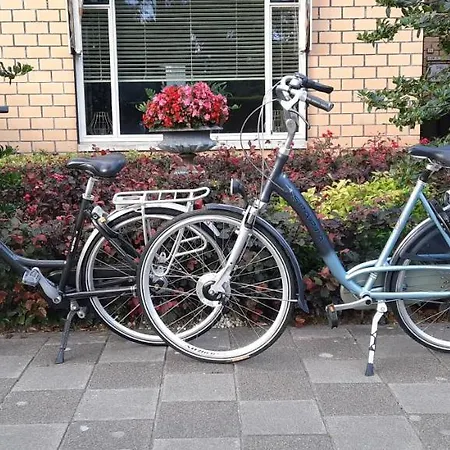 Le Bon Vivant Bed & Breakfast