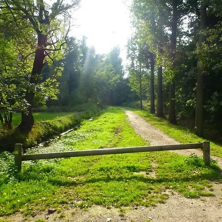 Le Bon Vivant Bed & Breakfast Eindhoven